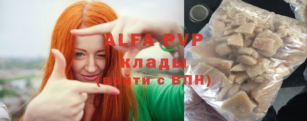 стаф Аркадак