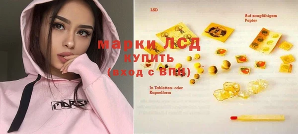 стаф Аркадак