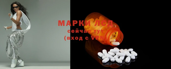 стаф Аркадак