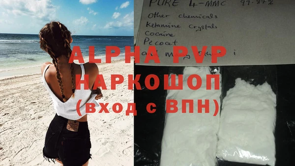 стаф Аркадак