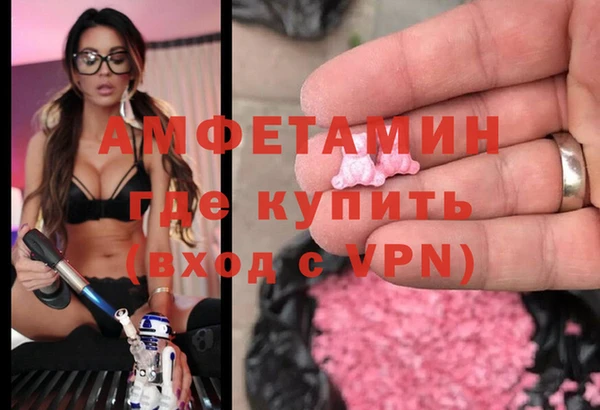 стаф Аркадак